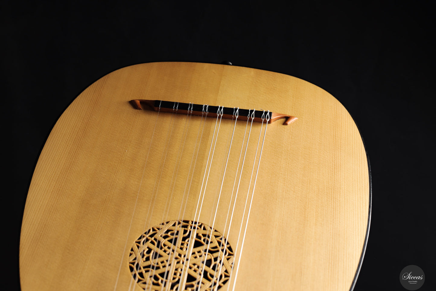 Chiara Frisio - 2024 - 8-course Renaissance Lute