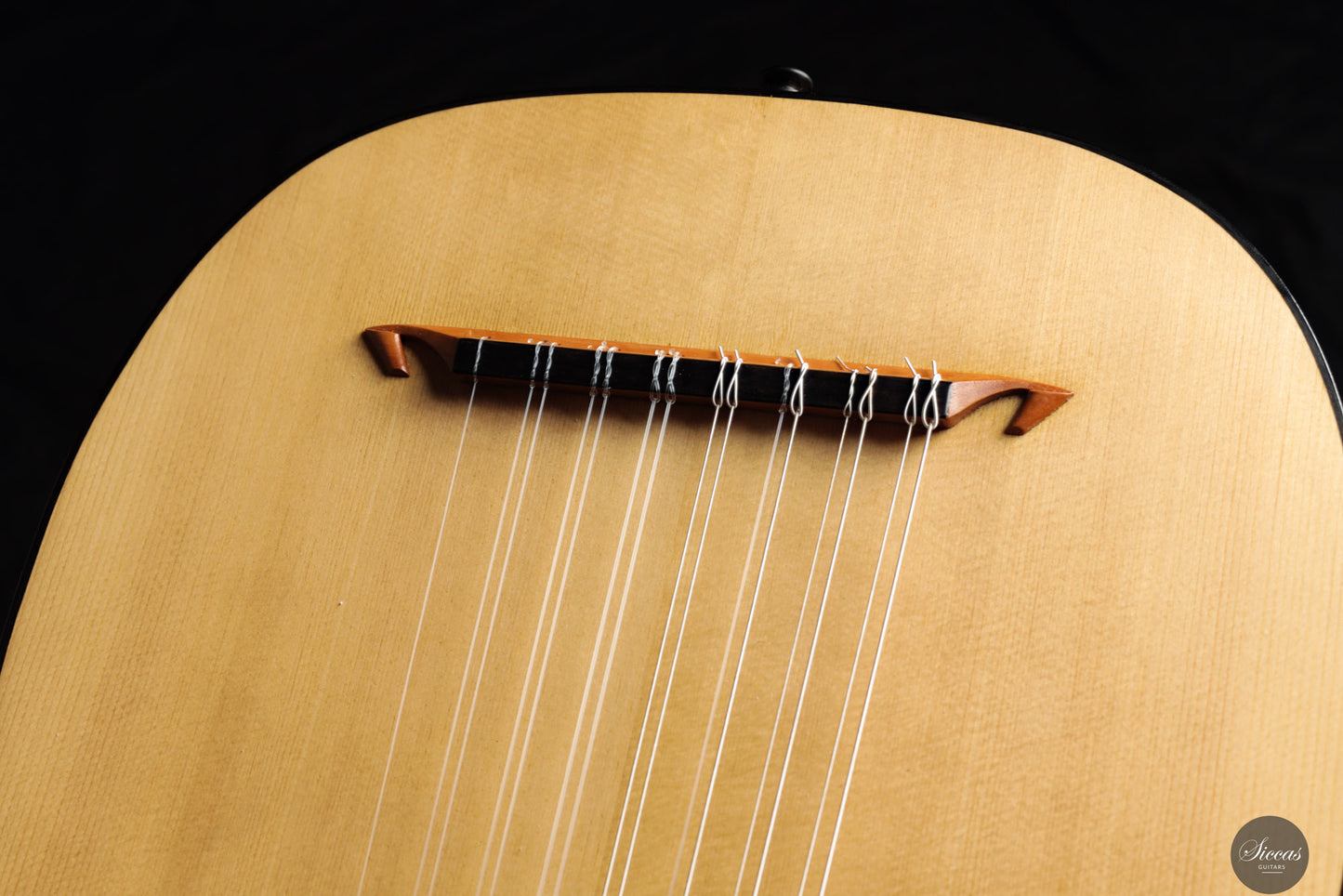 Chiara Frisio - 2024 - 8-course Renaissance Lute