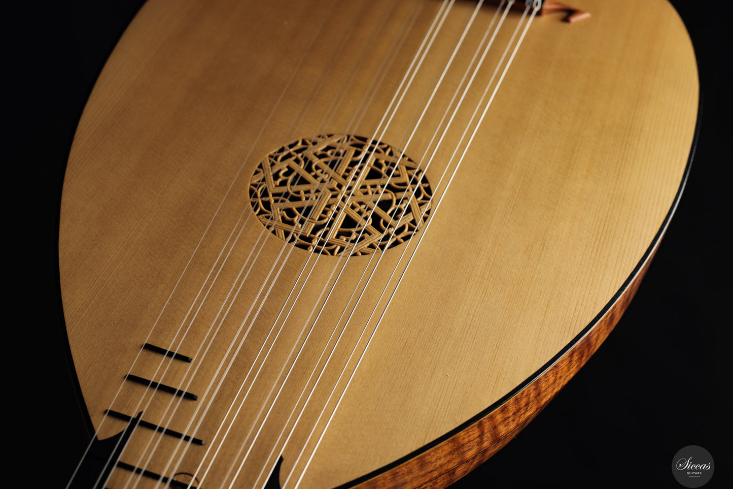 Chiara Frisio - 2024 - 8-course Renaissance Lute