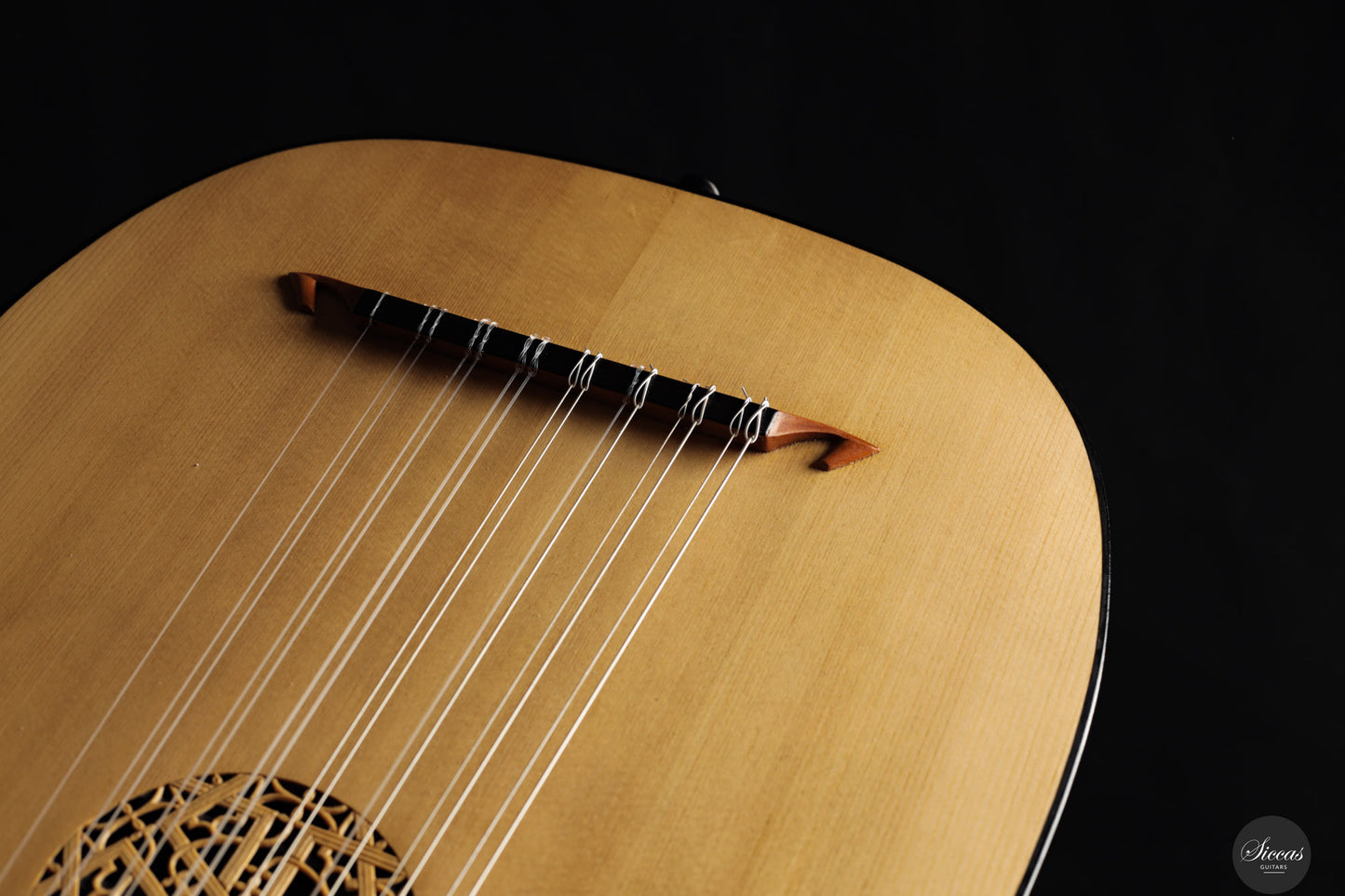 Chiara Frisio - 2024 - 8-course Renaissance Lute