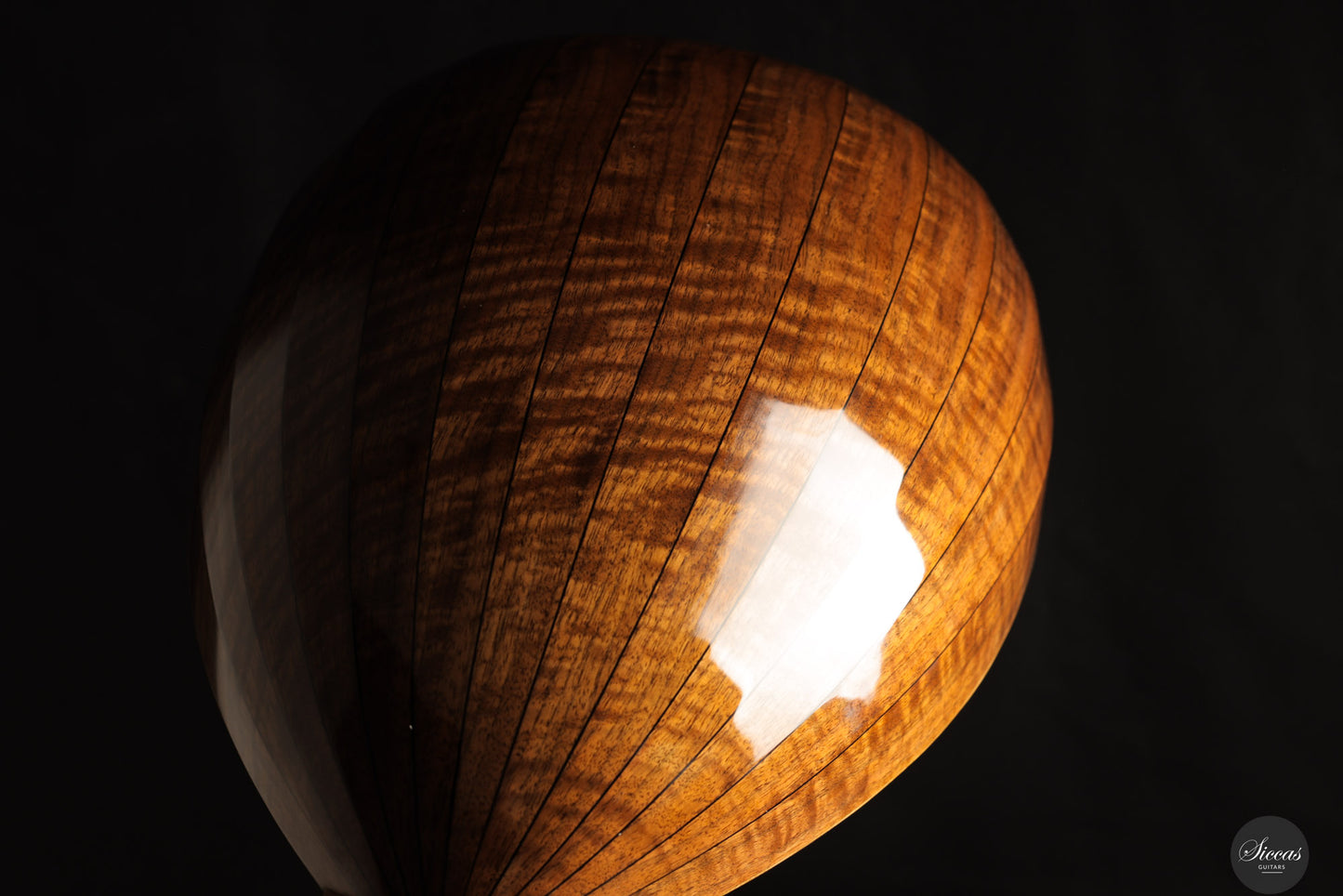 Chiara Frisio - 2024 - 8-course Renaissance Lute