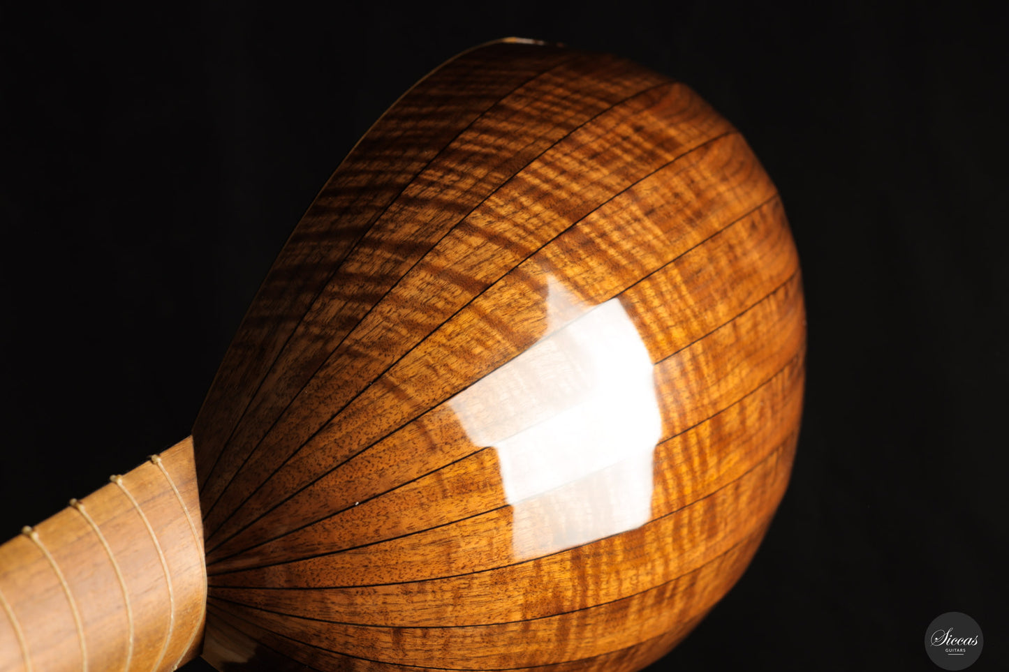 Chiara Frisio - 2024 - 8-course Renaissance Lute