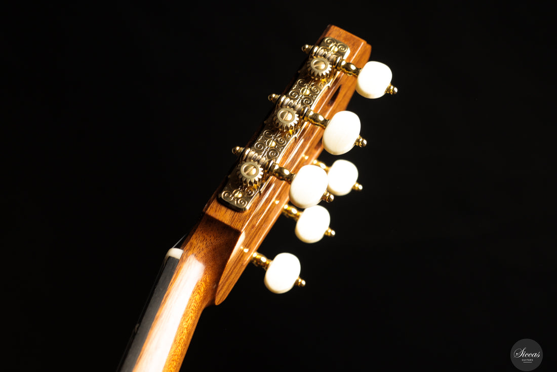 Chiara Frisio - 2025 - No. 10