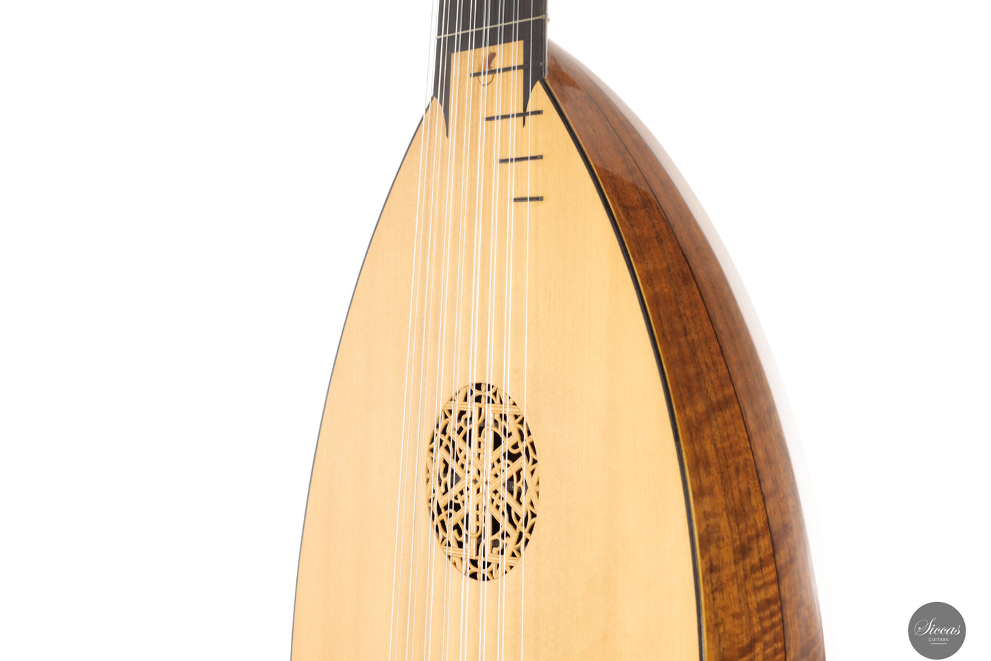 Chiara Frisio - 2024 - 8-course Renaissance Lute
