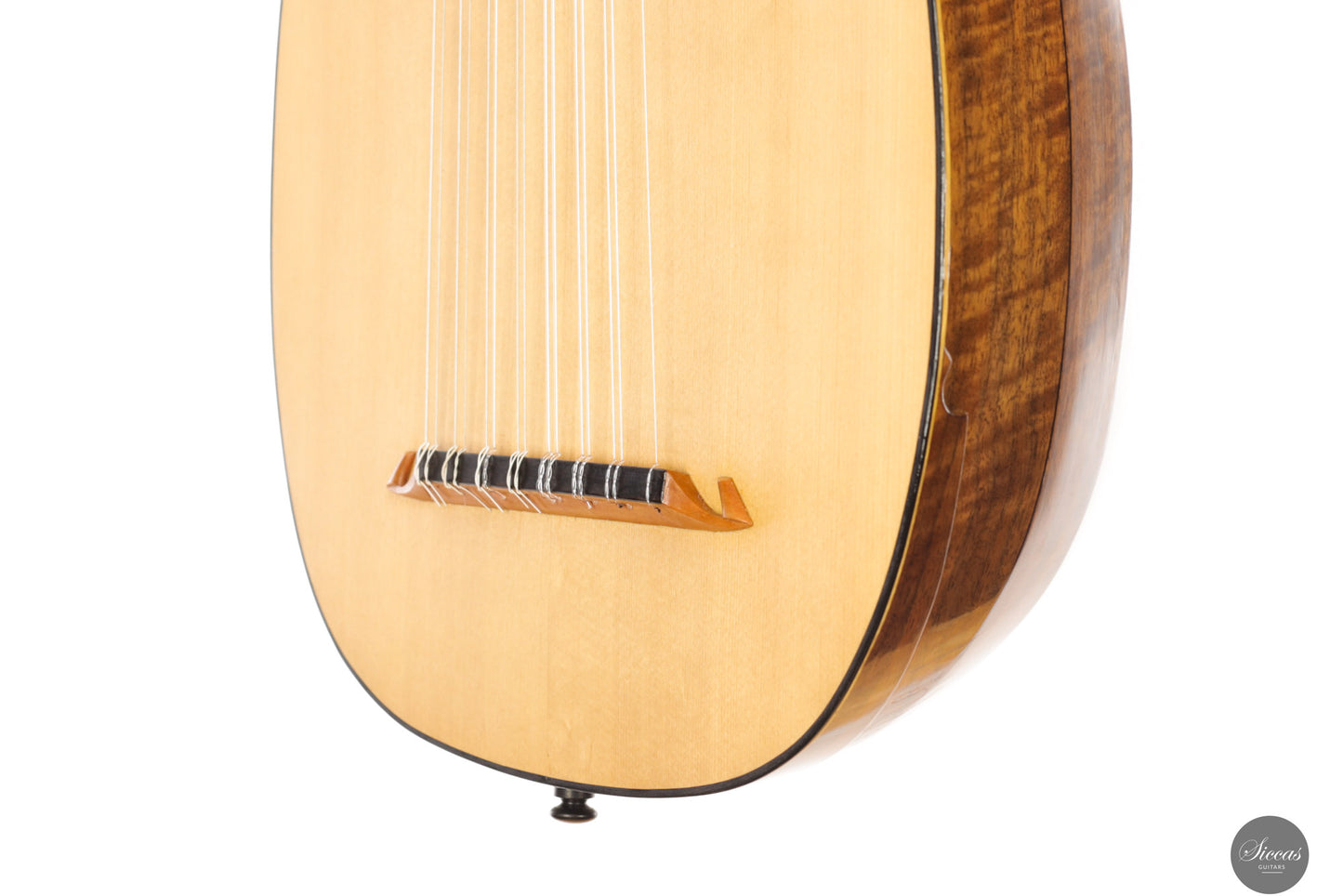 Chiara Frisio - 2024 - 8-course Renaissance Lute