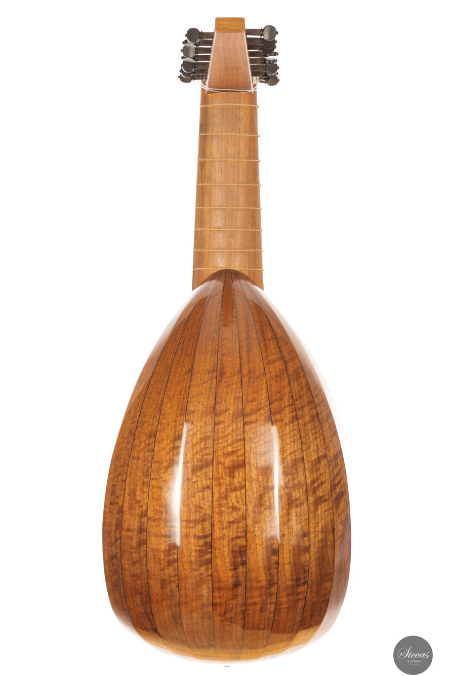 Chiara Frisio - 2024 - 8-course Renaissance Lute