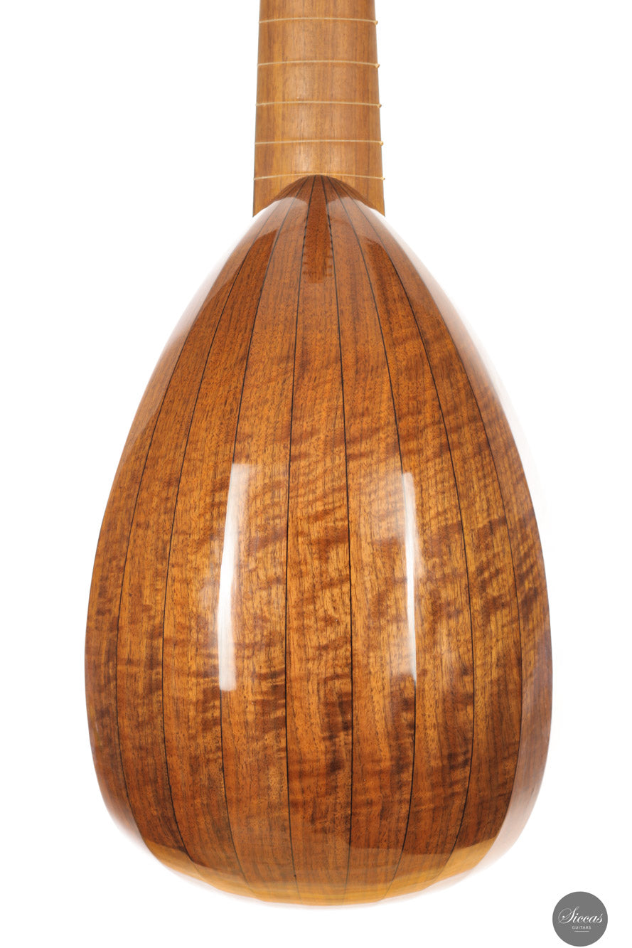Chiara Frisio - 2024 - 8-course Renaissance Lute