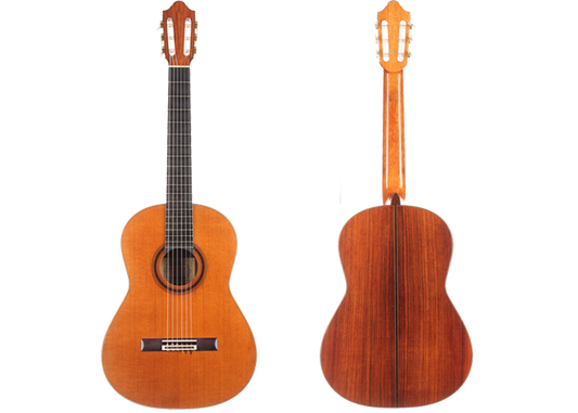 Daniel Friederich - 1975 img-2