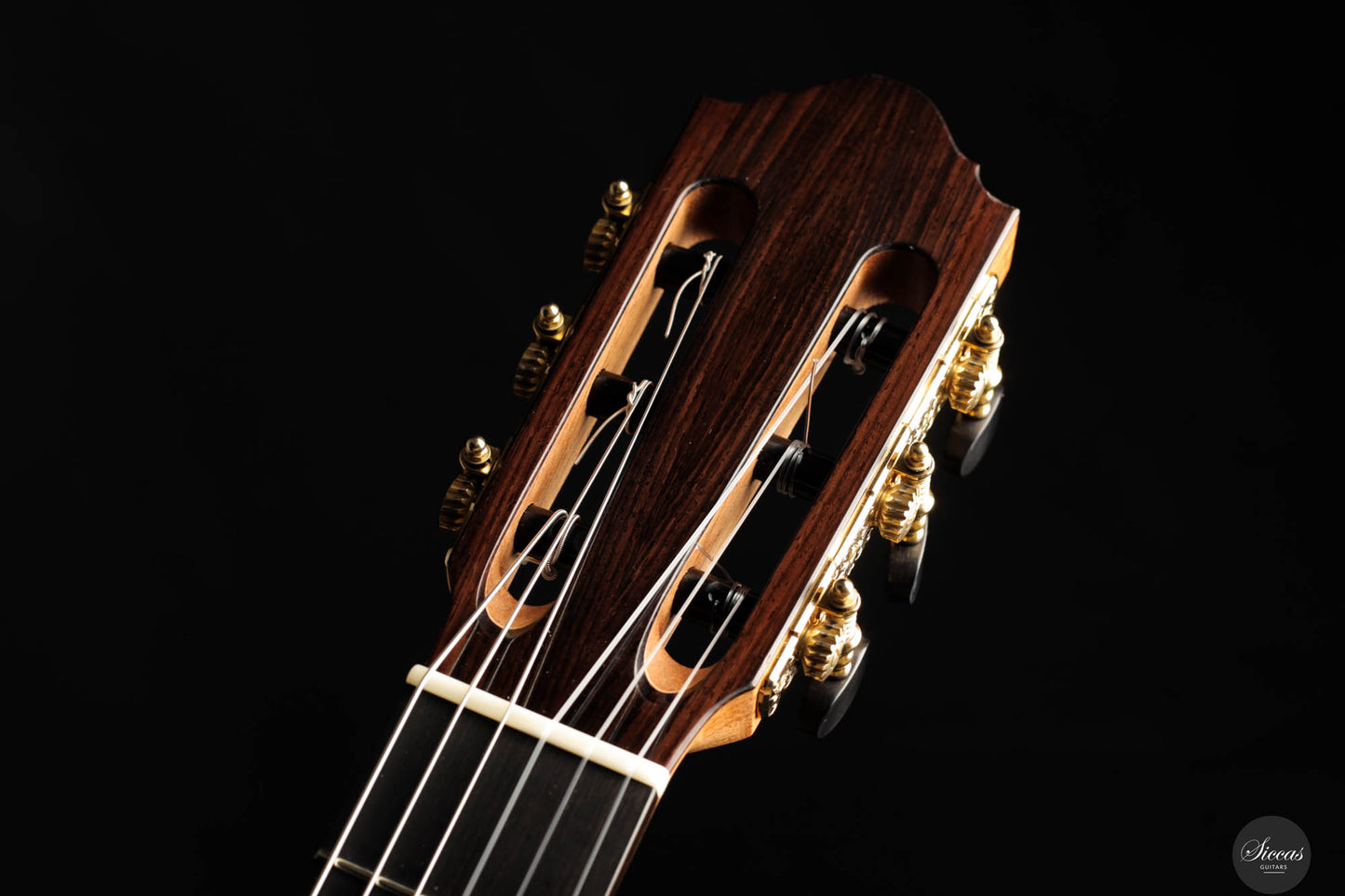 Danilo Bazzana - 2024 No. 67 64 cm