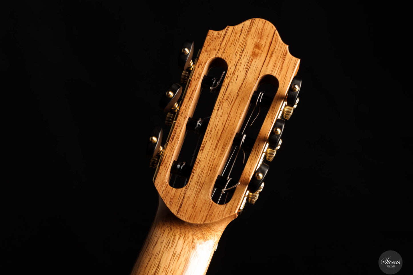 Danilo Bazzana - 2024 No. 67 64 cm