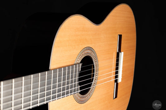 Danilo Bazzana - 2024 No. 67 64 cm img-2