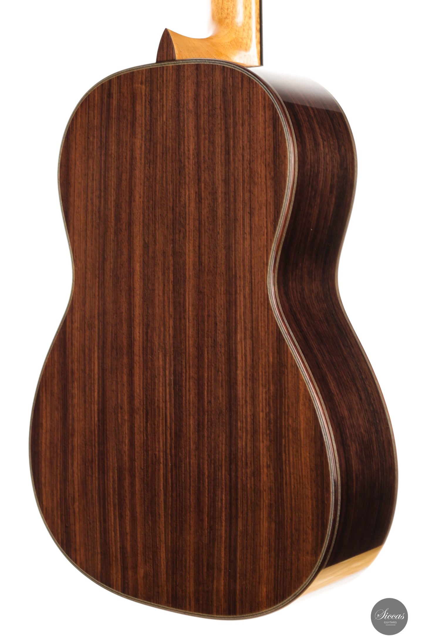 Danilo Bazzana - 2025 No. 69 - REG 2025 Limited Edition