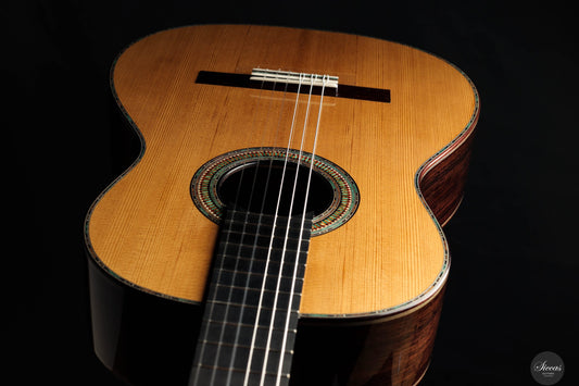 Danilo Bazzana - 2025 No. 69 - REG 2025 Limited Edition