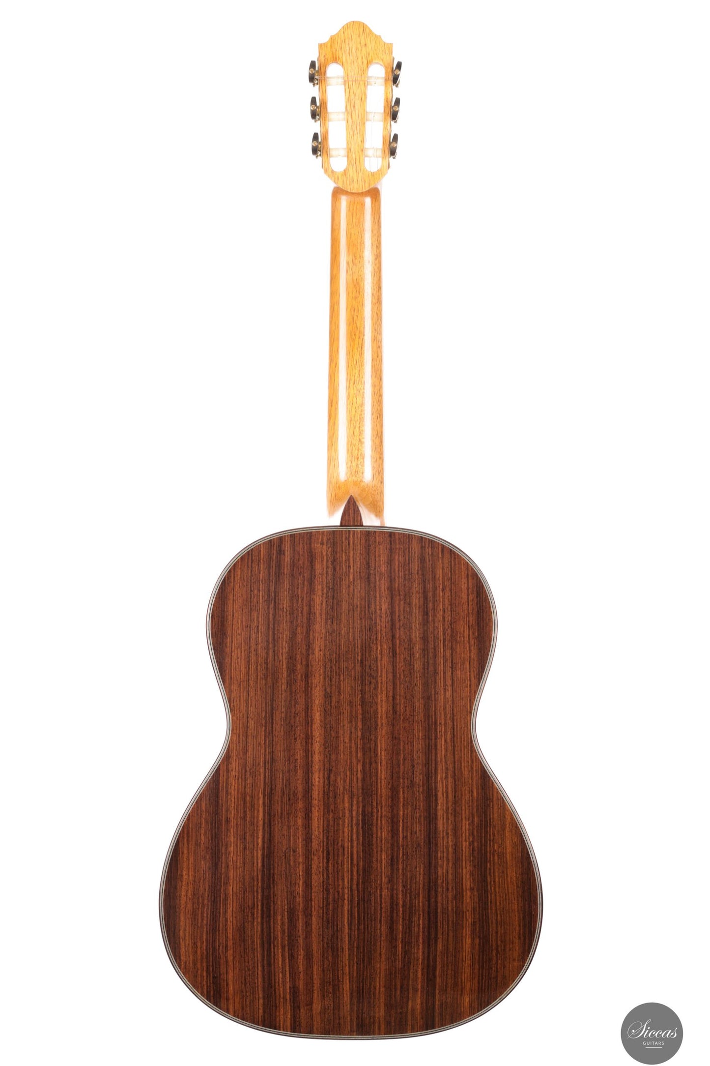 Danilo Bazzana - 2025 No. 69 - REG 2025 Limited Edition