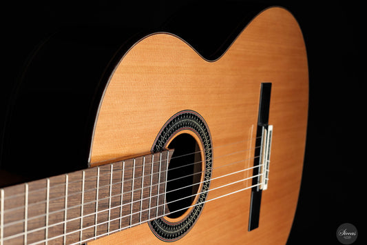 Dieter Müller - 2025 Doubletop Cedar/Wenge img-2