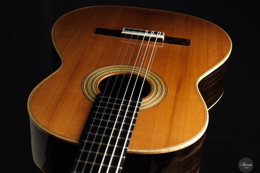 Fabio Zontini - 2025 Torres - 2025 REG Special Edition 63 cm