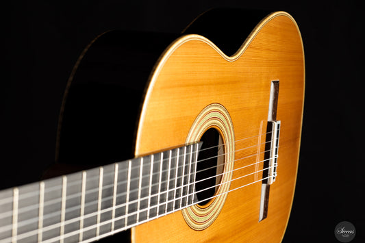 Fabio Zontini - 2025 Torres - 2025 REG Special Edition 63 cm img-2