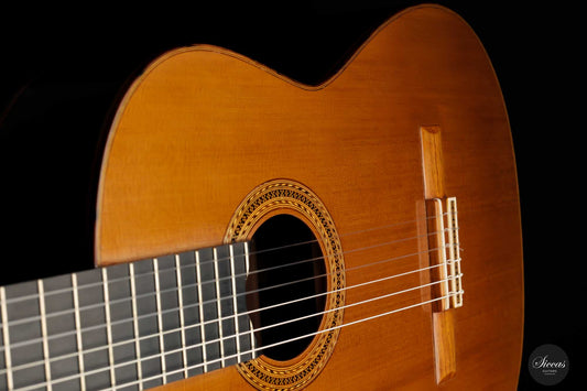 Falko Römmich - 2022 img-2