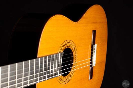 Falko Römmich - 2025 img-2