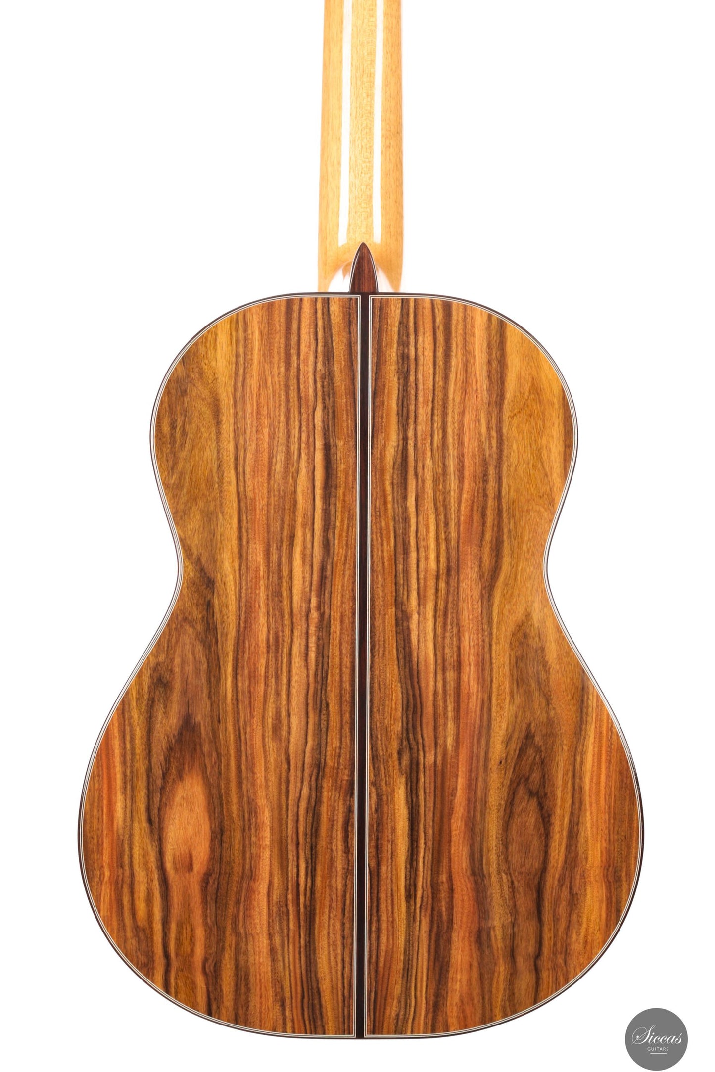 Fernando Mazza - 2025 Lattice REG 2025 Limited Edition