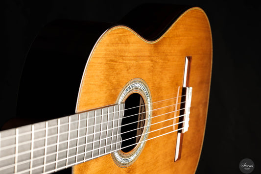 Gerardo Centonze - 2025 - REG 2025 Limited Edition img-2