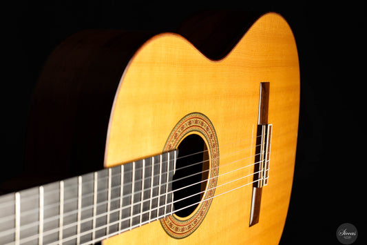 Gernot Wagner - 1992 Lattice - 64 cm ON HOLD img-2