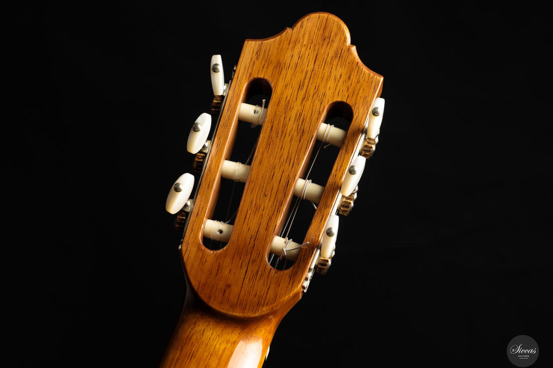 Giovanni Tacchi - 2024 "Daniel Friederich" No. 36