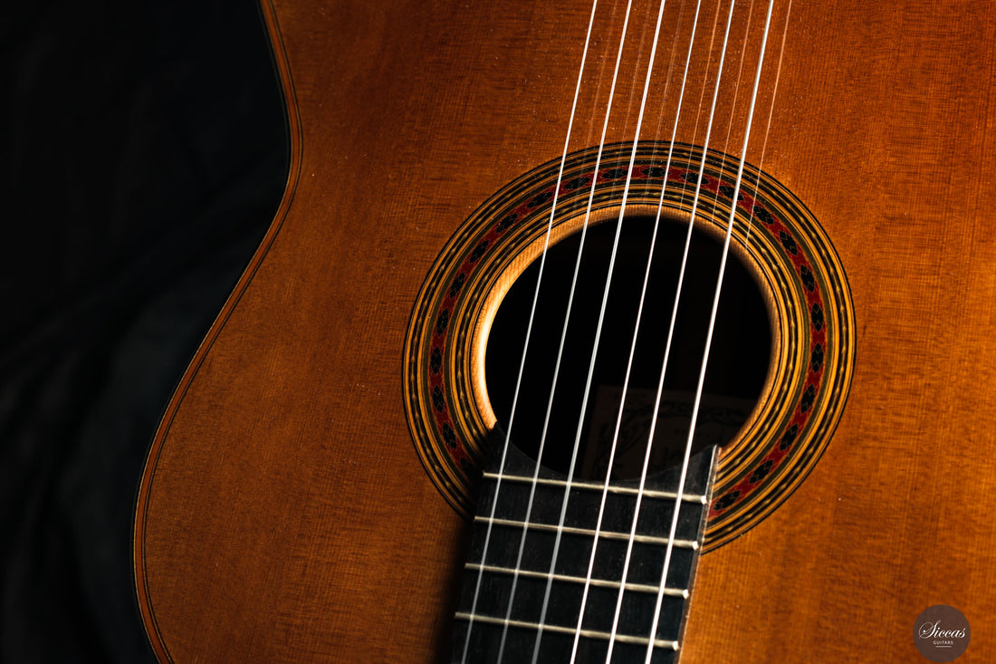 Giovanni Tacchi - 2024 "Daniel Friederich" No. 36