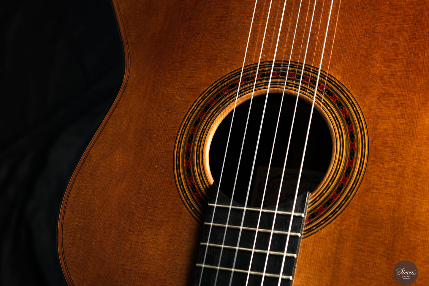 Giovanni Tacchi - 2024 "Daniel Friederich" No. 36