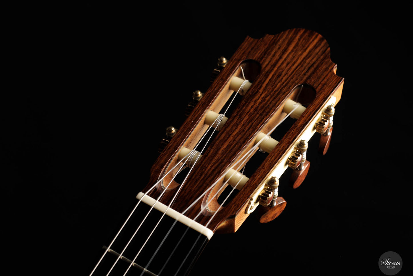 Giuseppe Corasaniti – 2024 REG 2024 Limited Edition