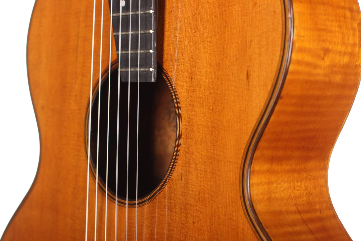 Hermann Hauser ® I - Viennese Model 1919