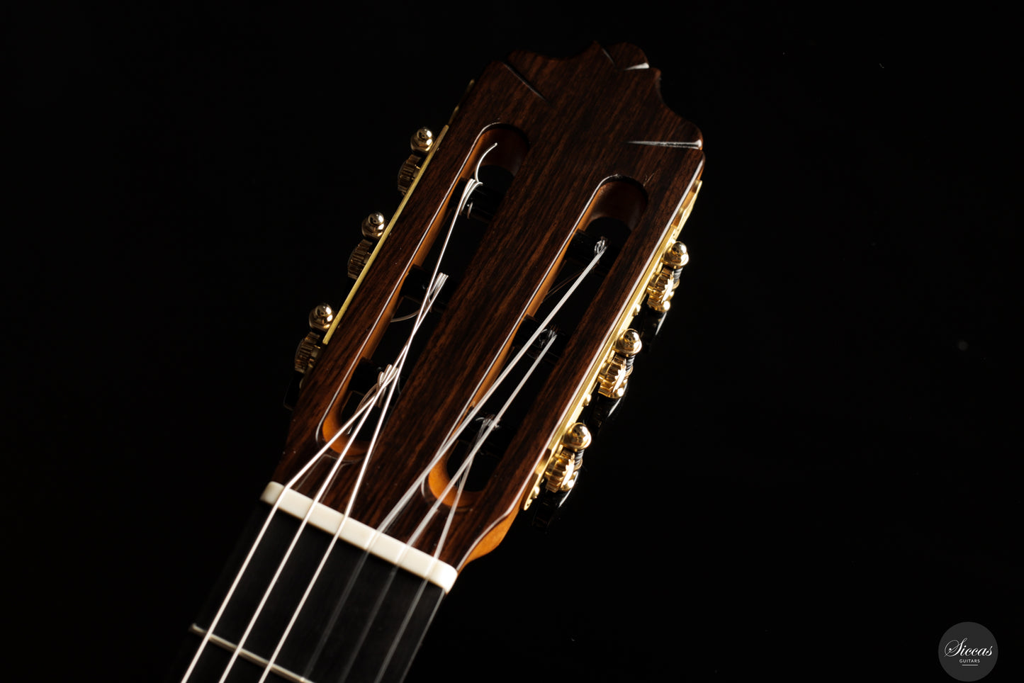 José Salinas - 2024 Spruce/Madagascar rosewood Especial