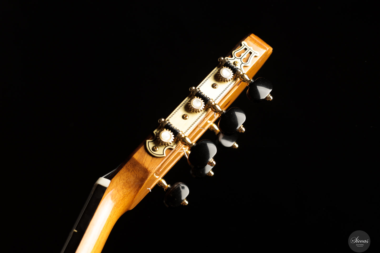 José Salinas - 2024 Spruce/Madagascar rosewood Especial