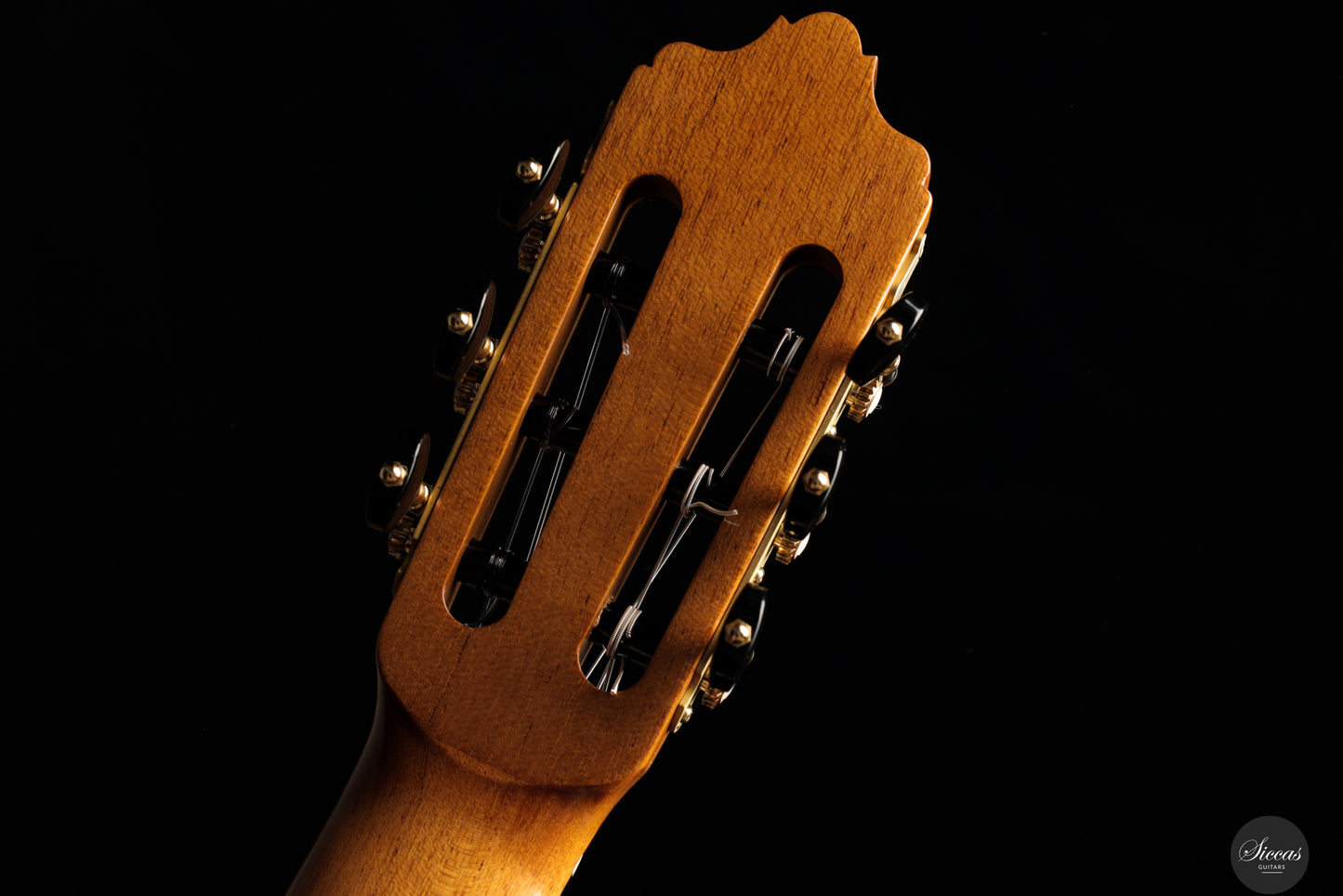 José Salinas - 2024 Spruce/Madagascar rosewood Especial