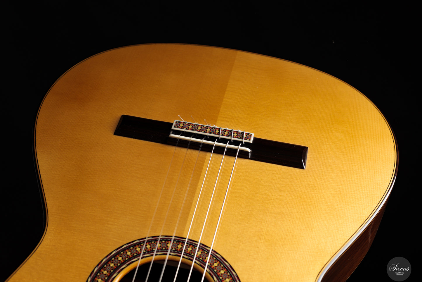 José Salinas - 2024 Spruce/Madagascar rosewood Especial