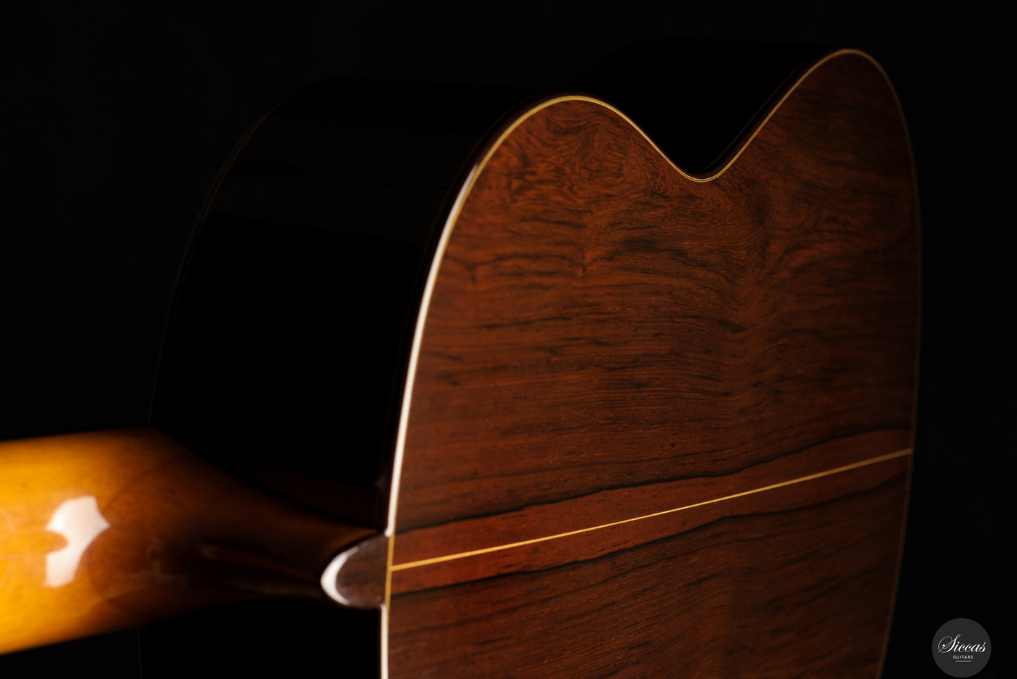 José Salinas - 2024 Spruce/Madagascar rosewood Especial