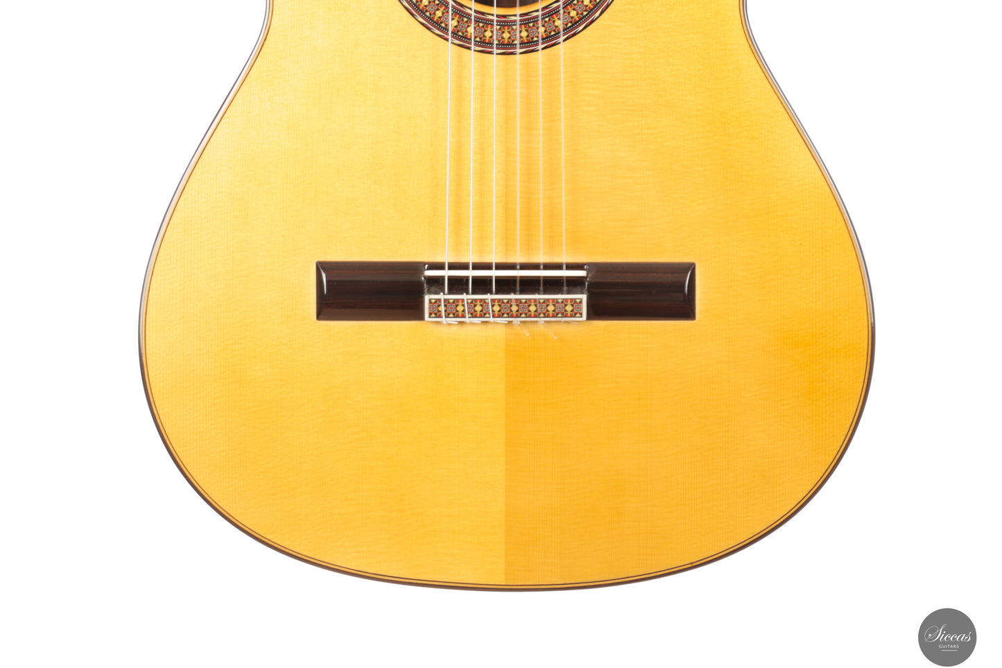 José Salinas - 2024 Spruce/Madagascar rosewood Especial