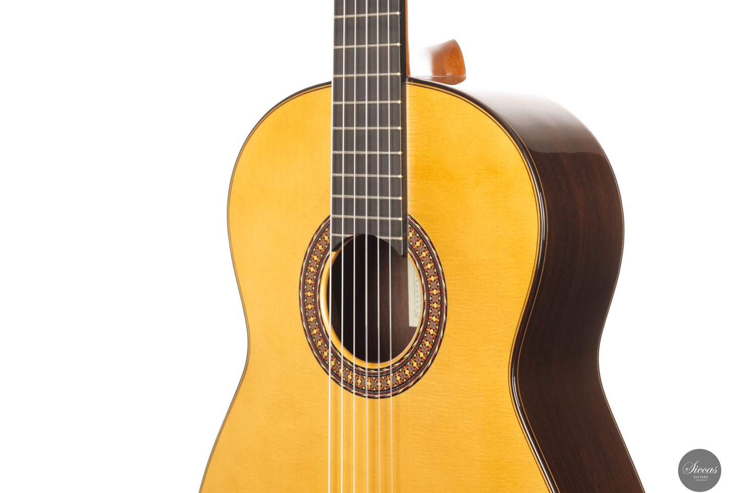 José Salinas - 2024 Spruce/Madagascar rosewood Especial