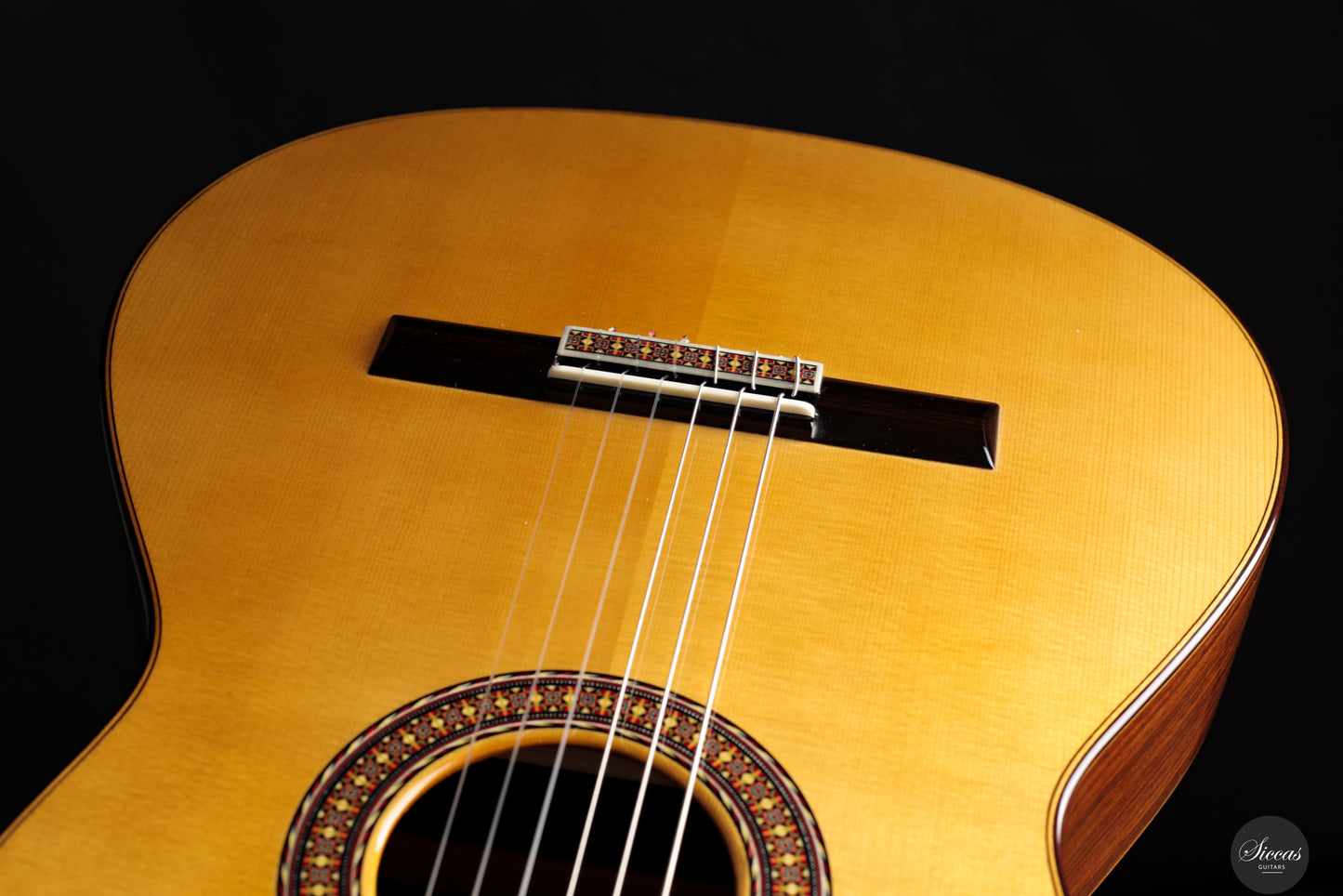José Salinas - 2024 Spruce
