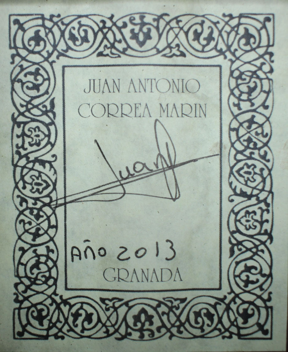 Juan Antonio Correa Marín - 2013