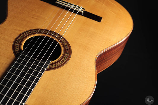 Kolya Panhuyzen - 1999 img-2