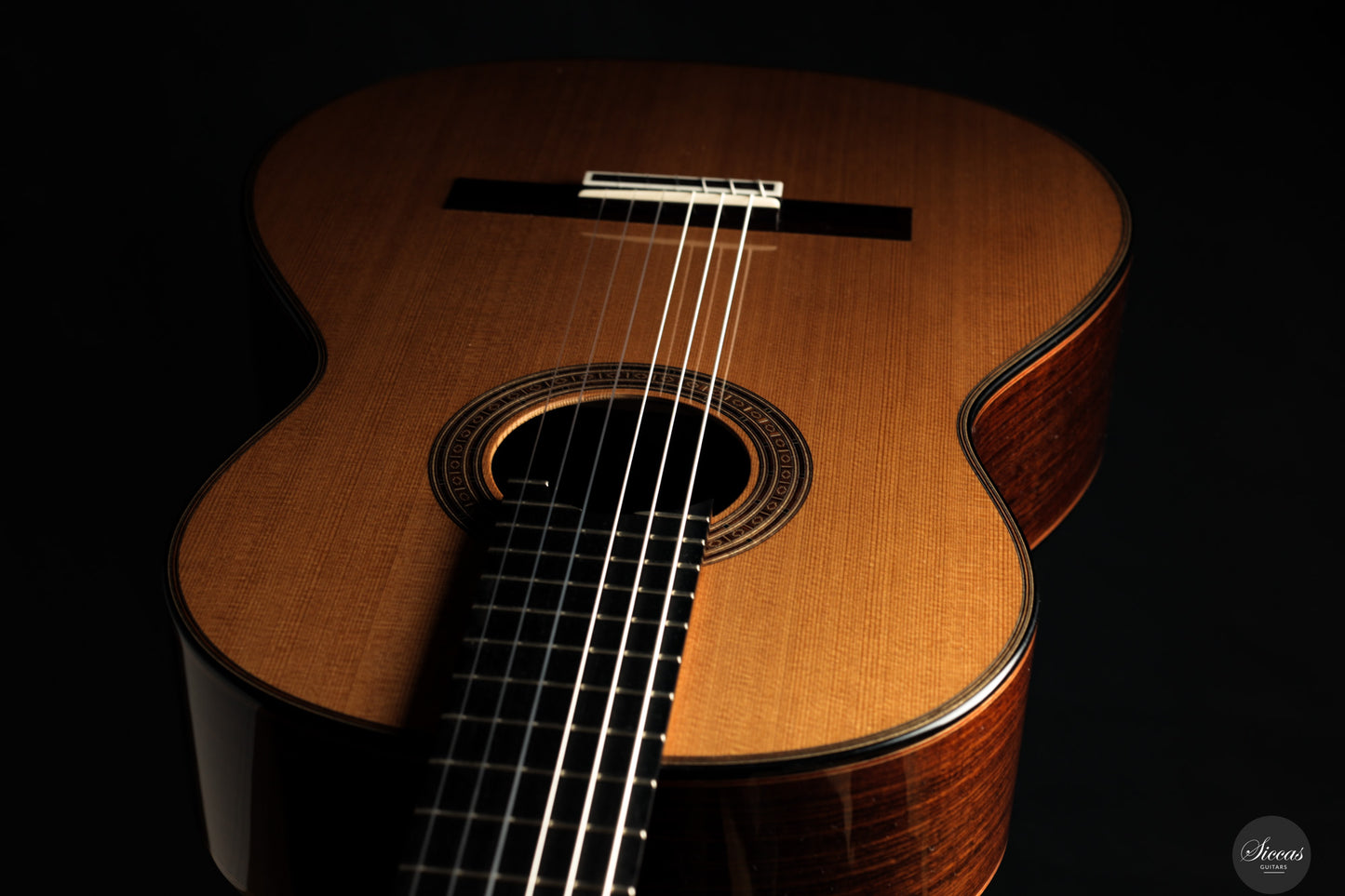 Lisa Weinzierl - 2025