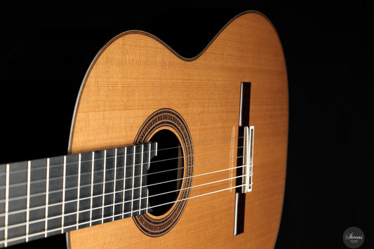 Lisa Weinzierl - 2025 img-2