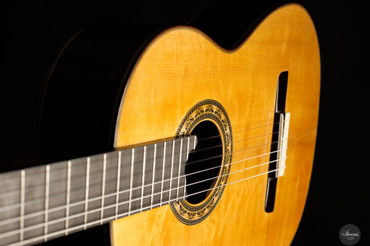 Lorenzo Frignani - 2024 No. 266 Fichte img-2