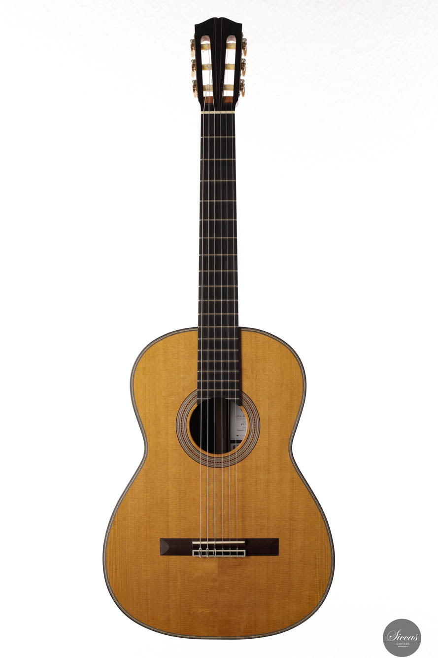 Luca Pollastro - 2024 No. 12 REG 2024 Limited Edition