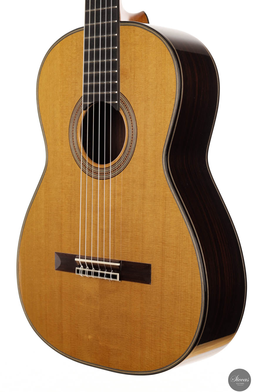 Luca Pollastro - 2024 No. 12 REG 2024 Limited Edition