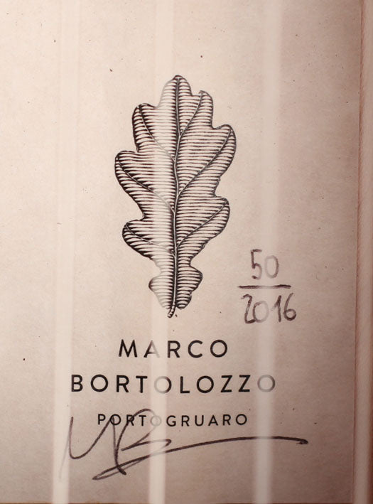Marco Bortolozzo - 2016