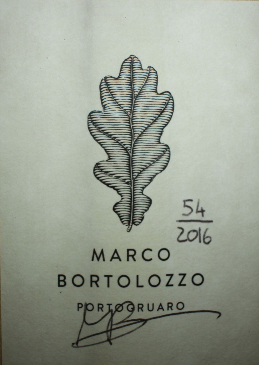 Marco Bortolozzo - 2016