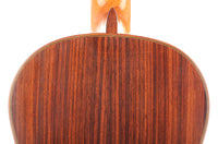 Martin Fleeson - 1984