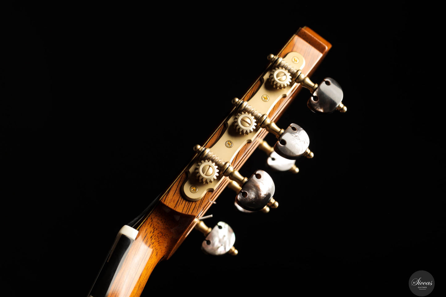 Masaki Sakurai - 2025 Maestro-RF Cedar 64 cm